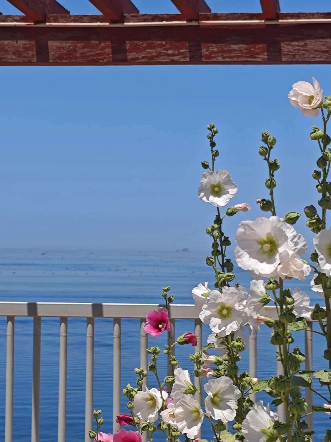 保姆级！大连&烟台&青岛 六日游攻略（1）