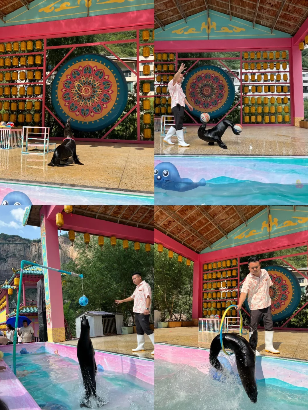 郑州1h❗️我愿称之为最值得带娃玩水宝地❗️