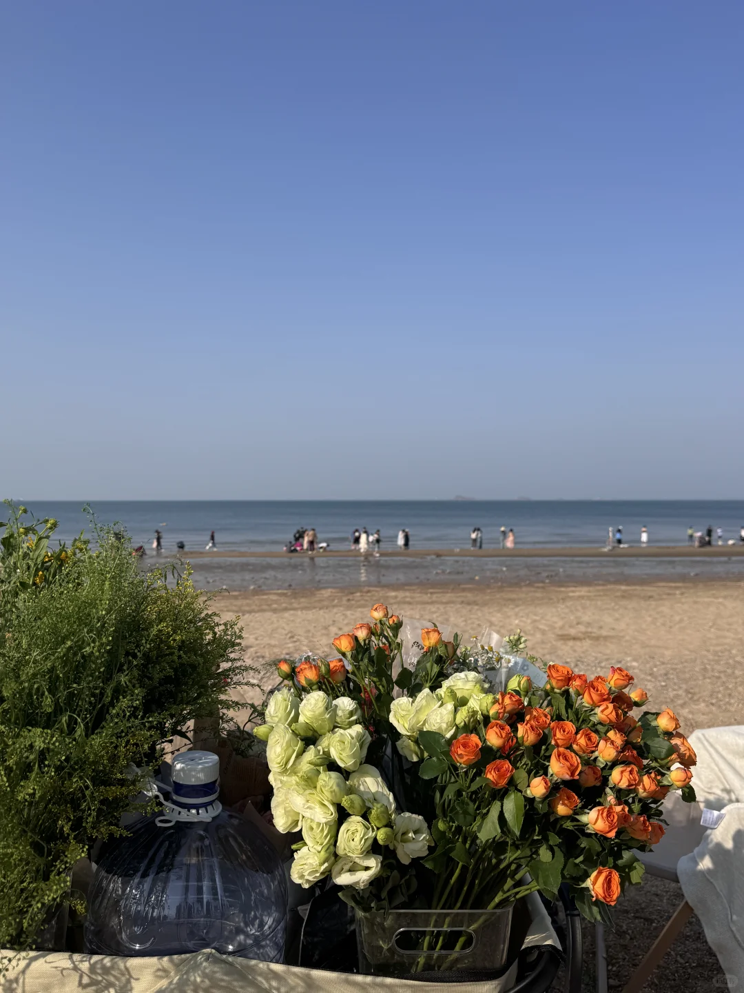 山东F4：青岛/威海/烟台/日照应该怎么选择🌊