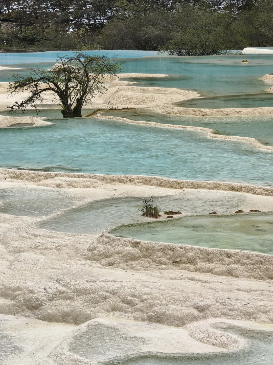 你想找的四川黄龙景区保姆级全攻略在这