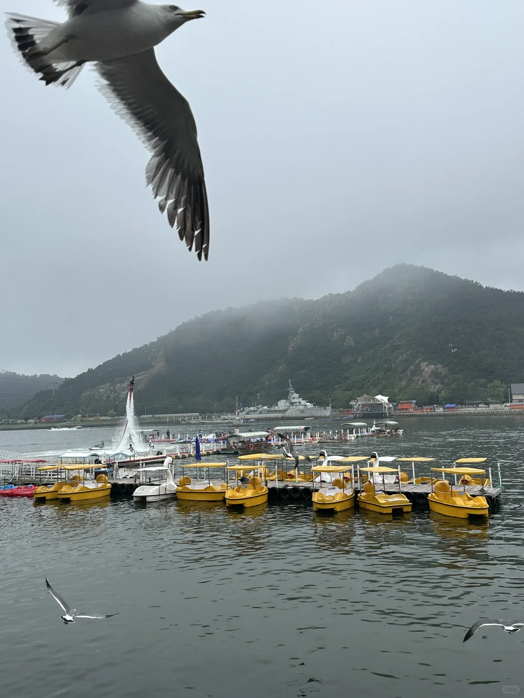 避暑大连！暑假必玩老虎滩攻略！