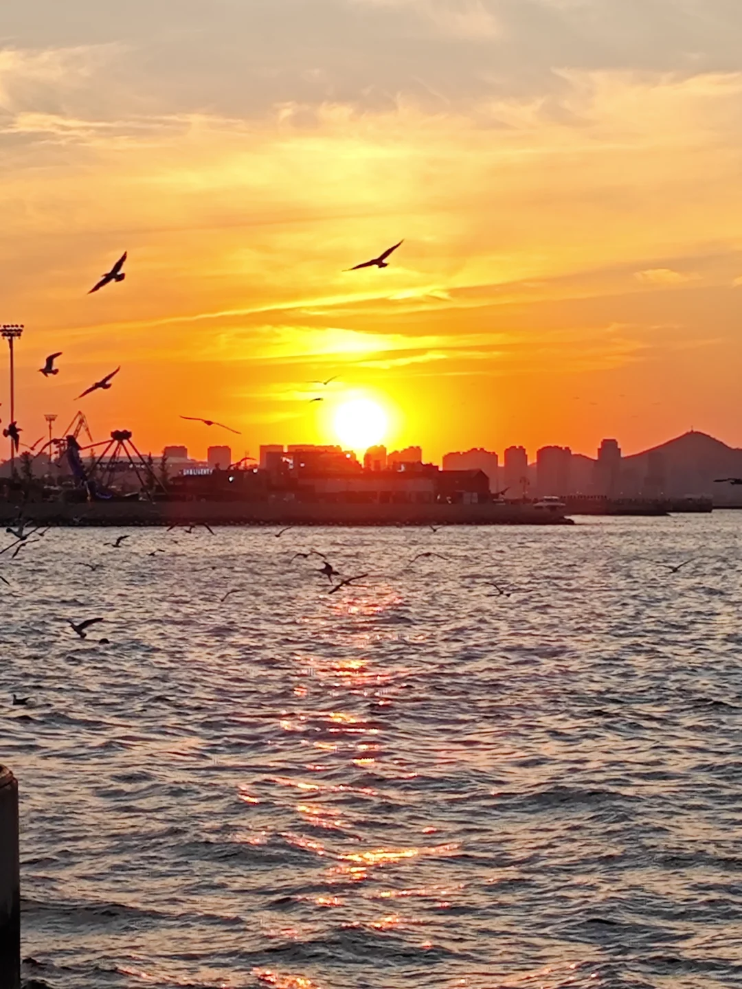 保姆级！大连&烟台&青岛 六日游攻略（1）