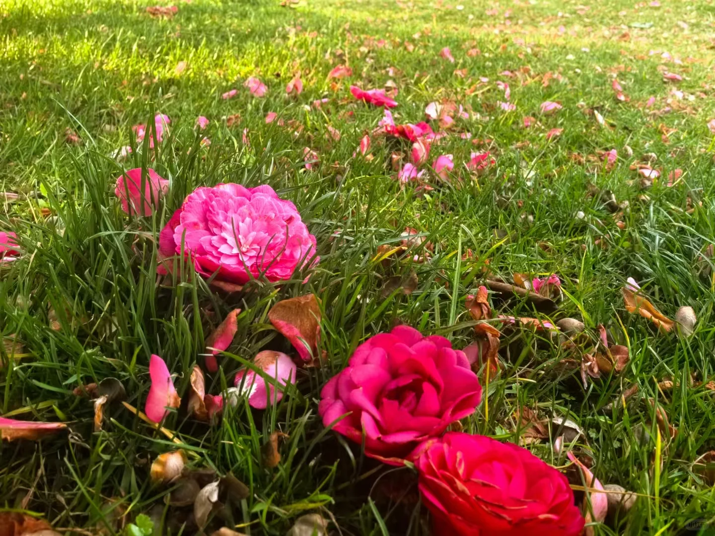 特种兵旅游之长沙旅游攻略【1天必玩景区】