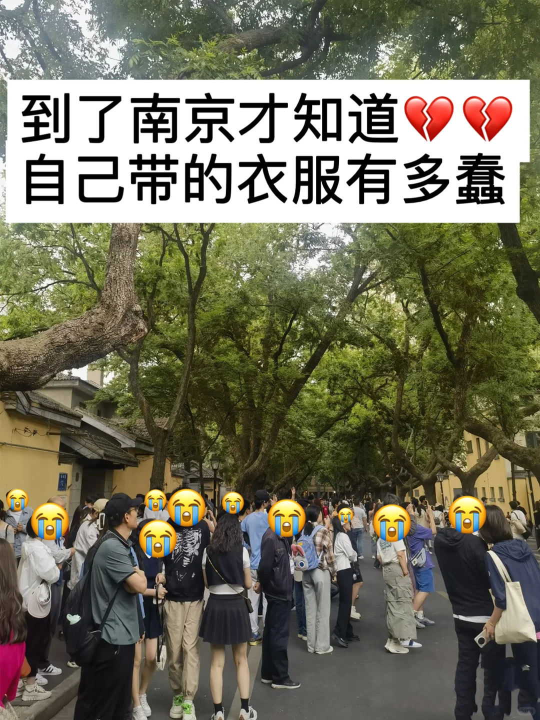 📍南京已回，再也不听小红书乱说了