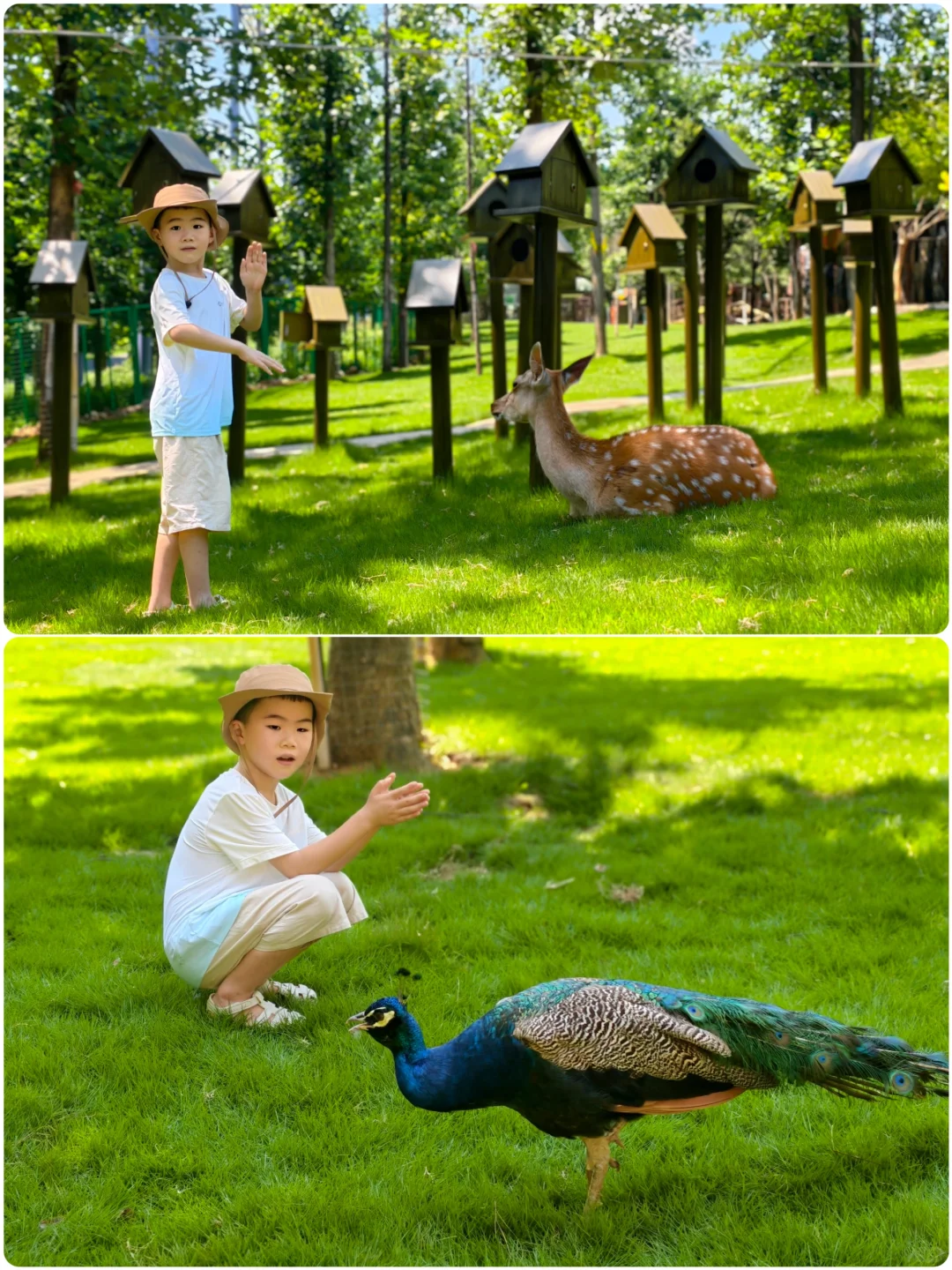 1米就能玩的竹林漂流，江浙沪亲子避暑天花