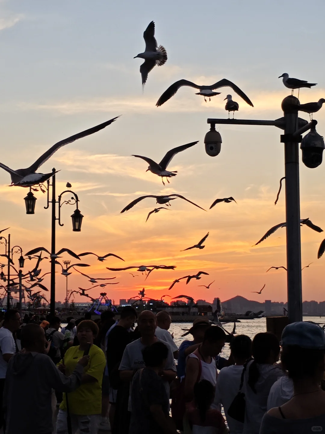 保姆级！大连&烟台&青岛 六日游攻略（1）