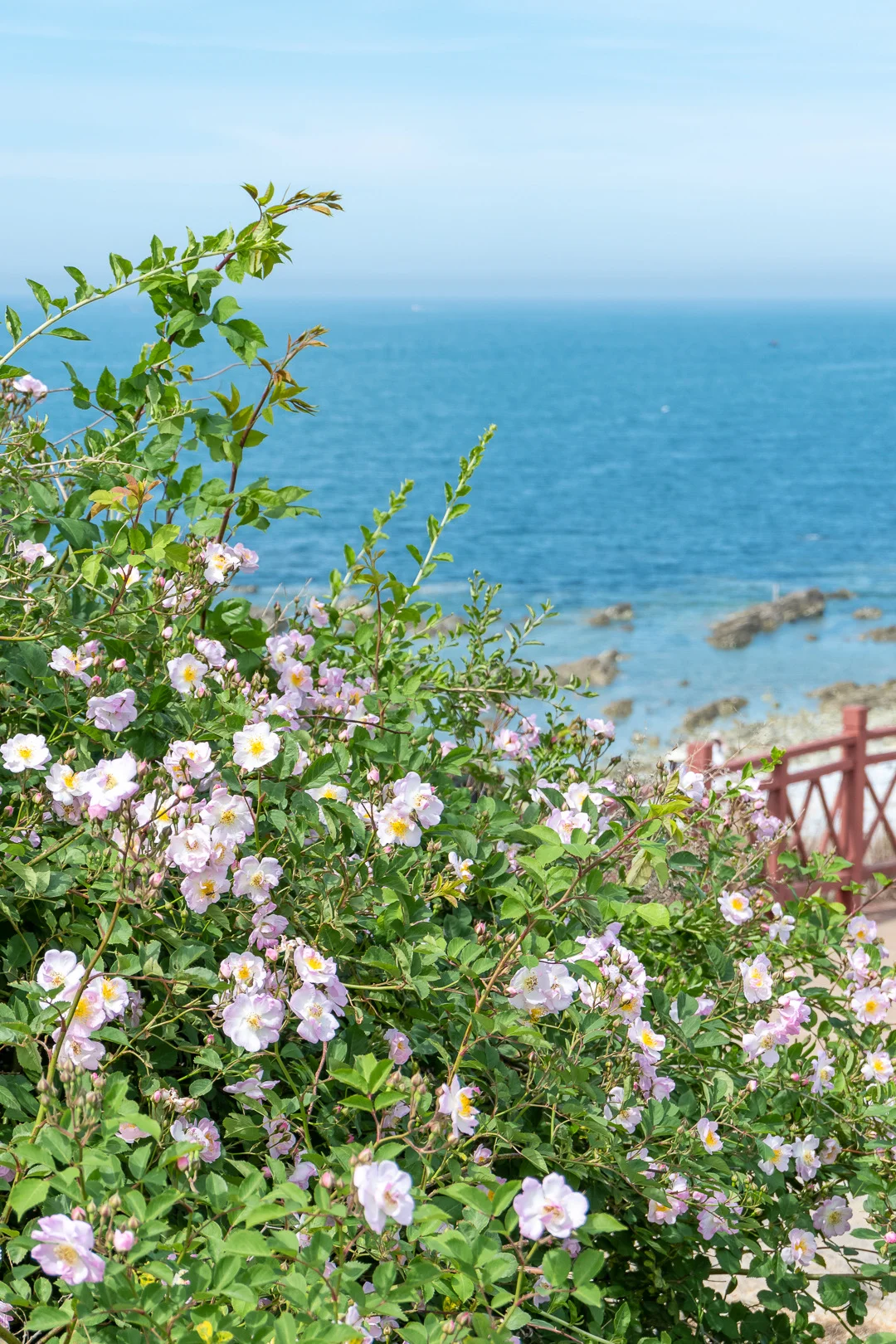 烟台刚回 说说我的真实感受～