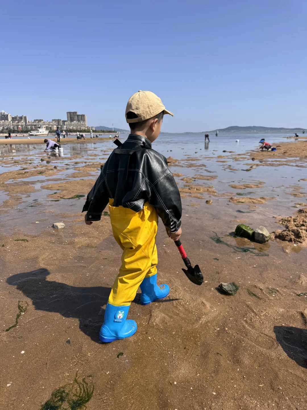 山东F4：青岛/威海/烟台/日照应该怎么选择🌊