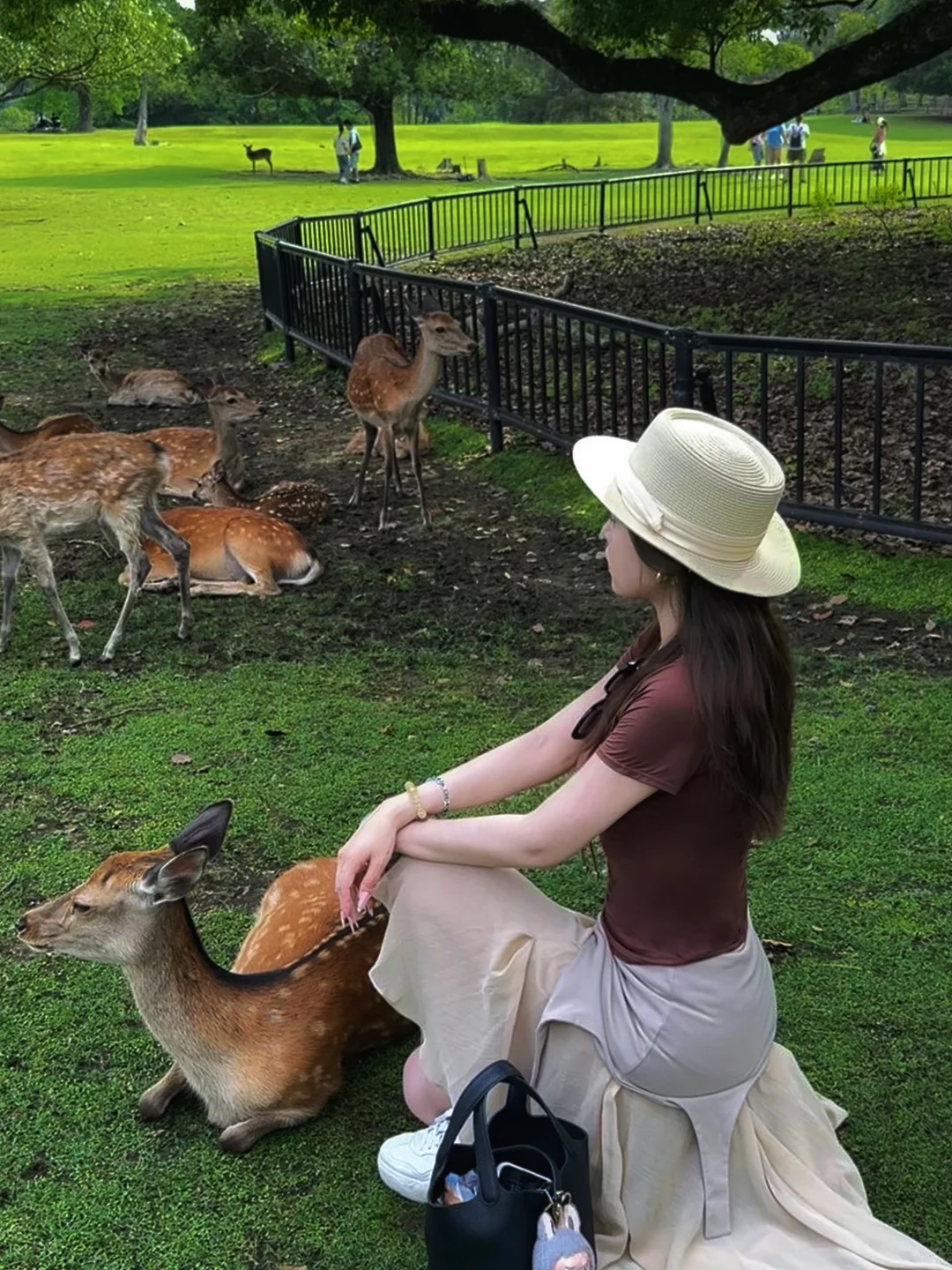 日本🇯🇵6天5晚自由行分享～