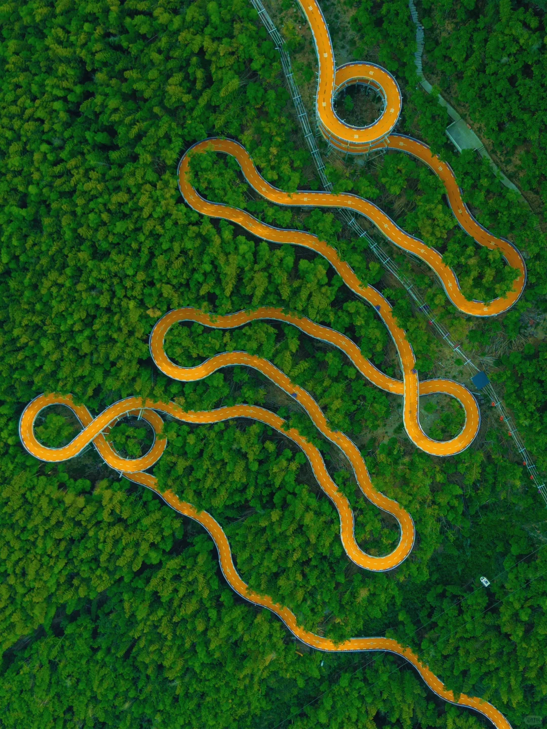 美哭了😭去了一趟莫干山，发朋友圈被问疯了