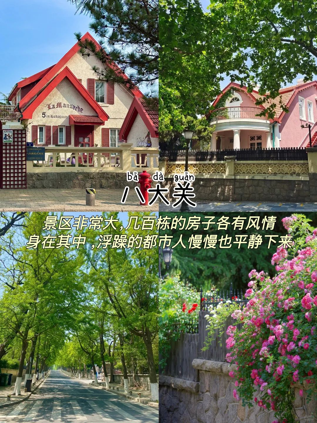 青岛📍三天两晚，不费腿版保姆级逛吃攻略‼️
