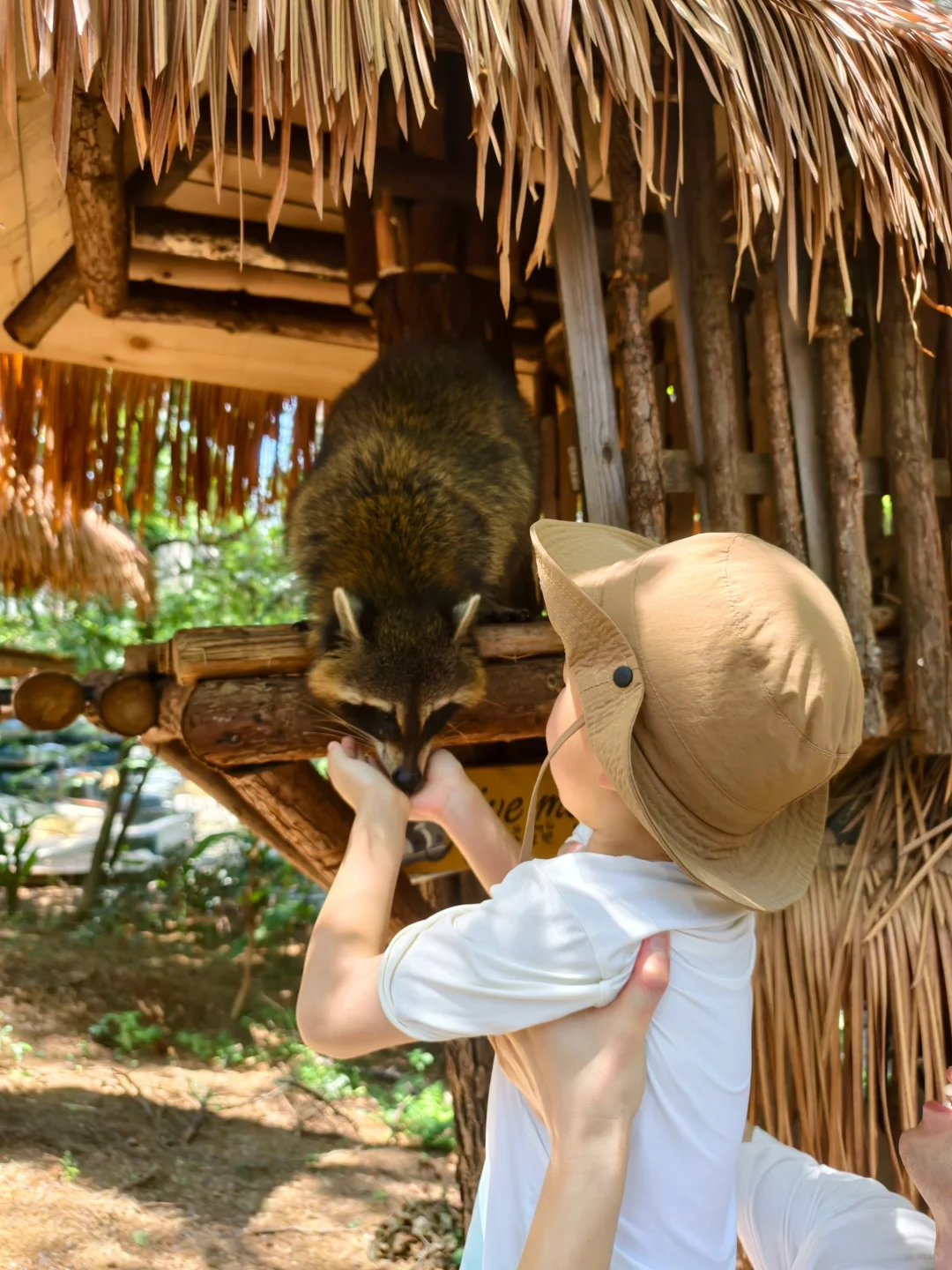 1米就能玩的竹林漂流，江浙沪亲子避暑天花