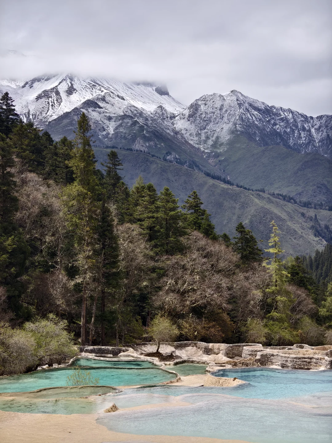 你想找的四川黄龙景区保姆级全攻略在这