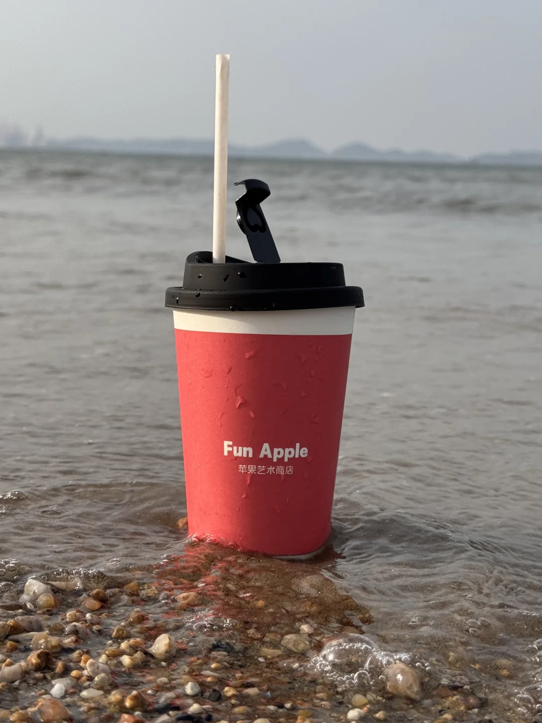 山东F4：青岛/威海/烟台/日照应该怎么选择🌊