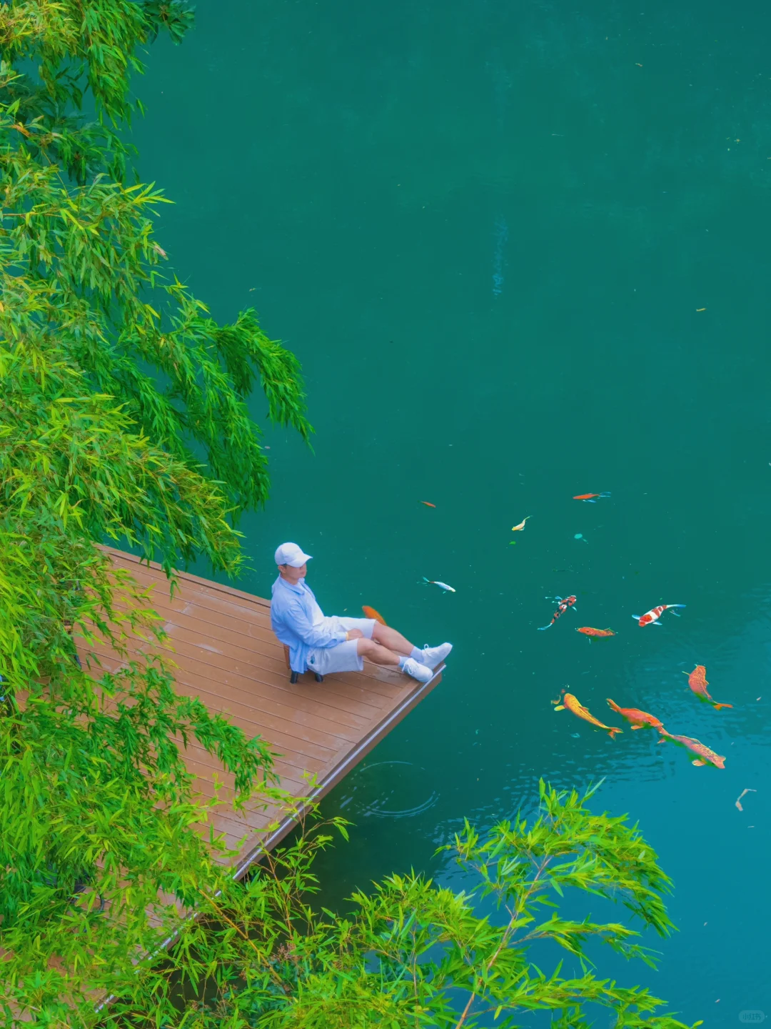 美哭了😭去了一趟莫干山，发朋友圈被问疯了