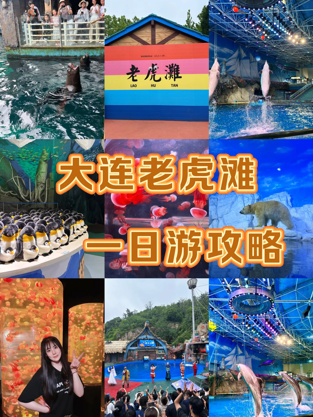 避暑大连！暑假必玩老虎滩攻略！