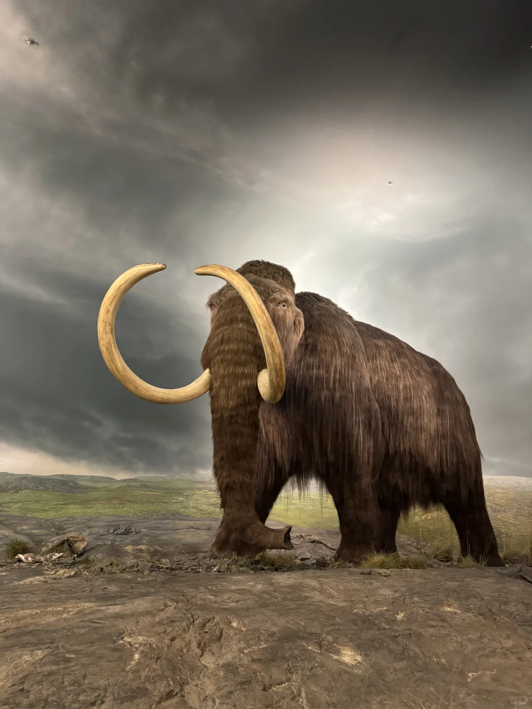 🇨🇦BC｜维多利亚一日游无车版攻略