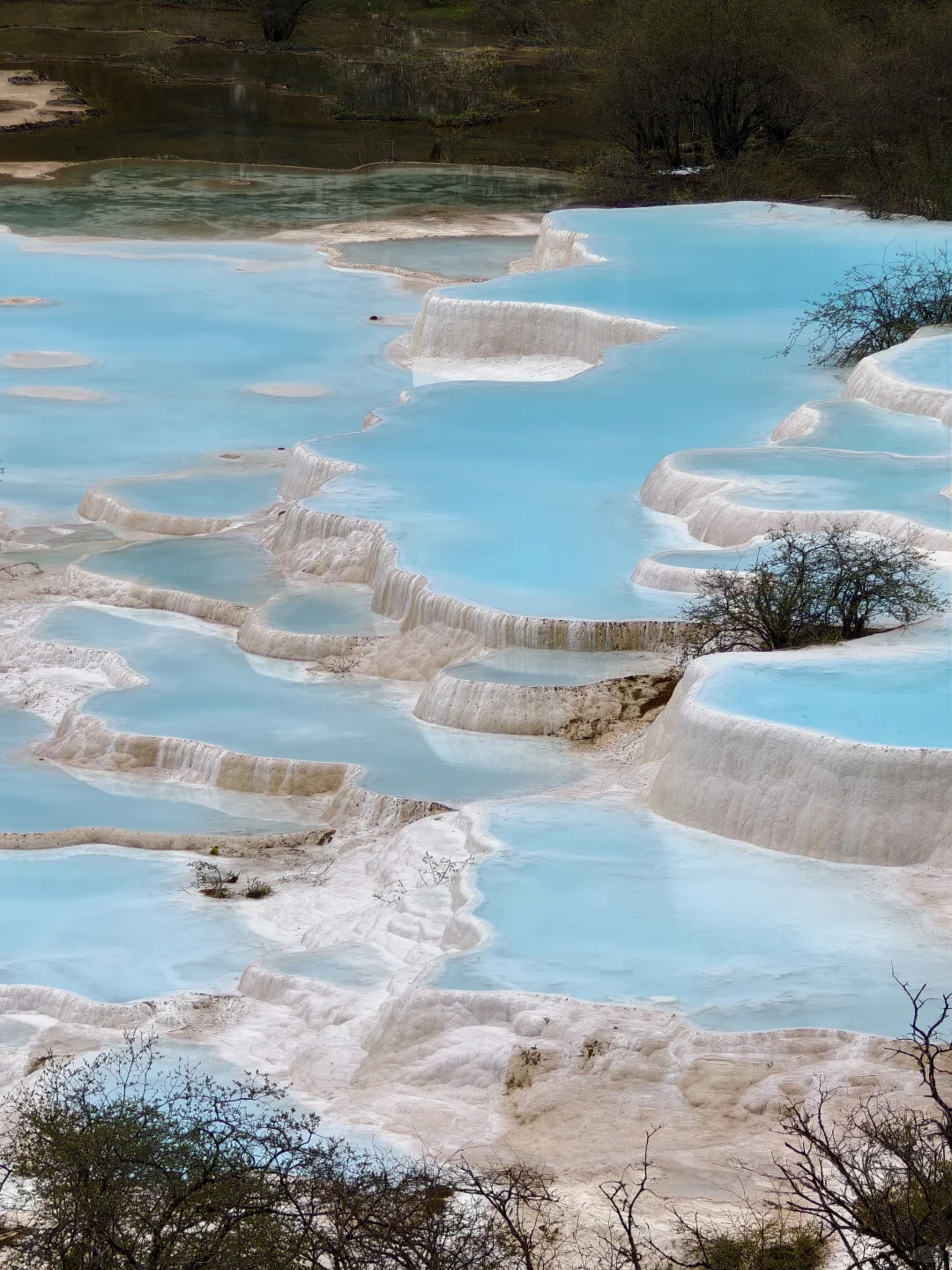 你想找的四川黄龙景区保姆级全攻略在这