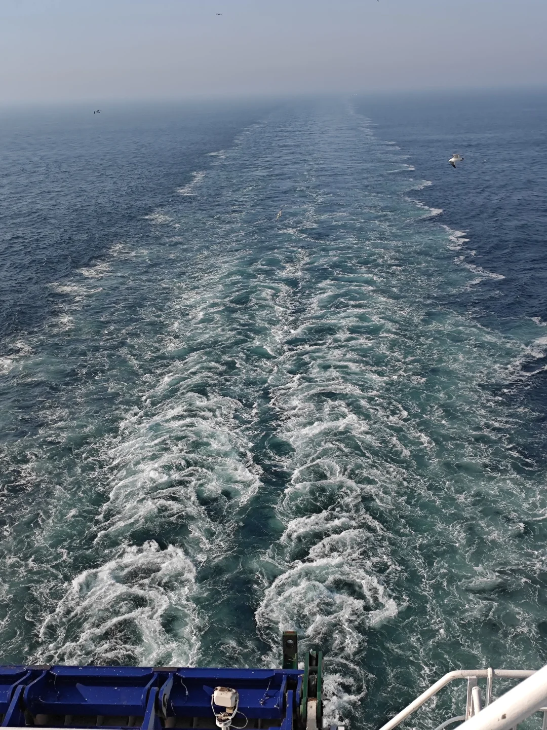 保姆级！大连&烟台&青岛 六日游攻略（1）