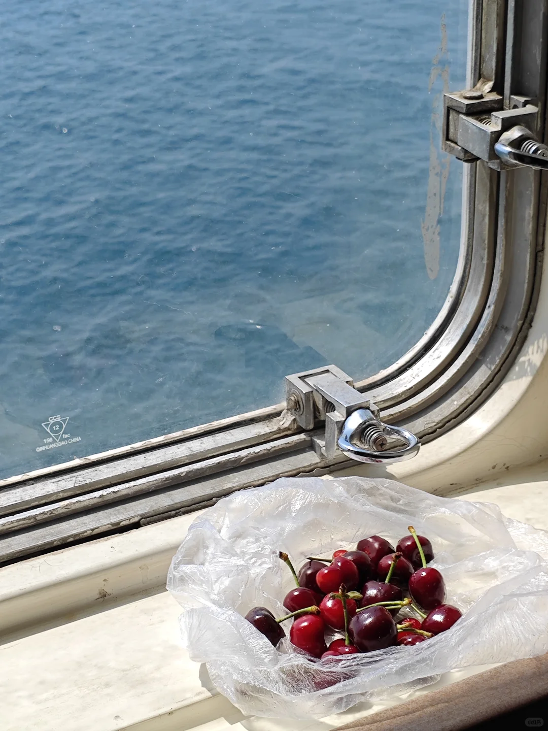 保姆级！大连&烟台&青岛 六日游攻略（1）