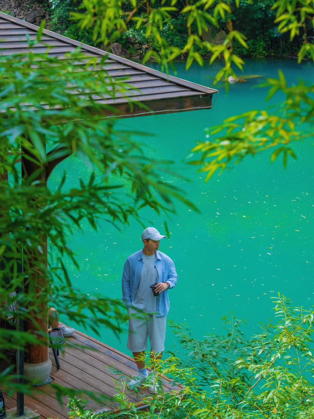 美哭了😭去了一趟莫干山，发朋友圈被问疯了