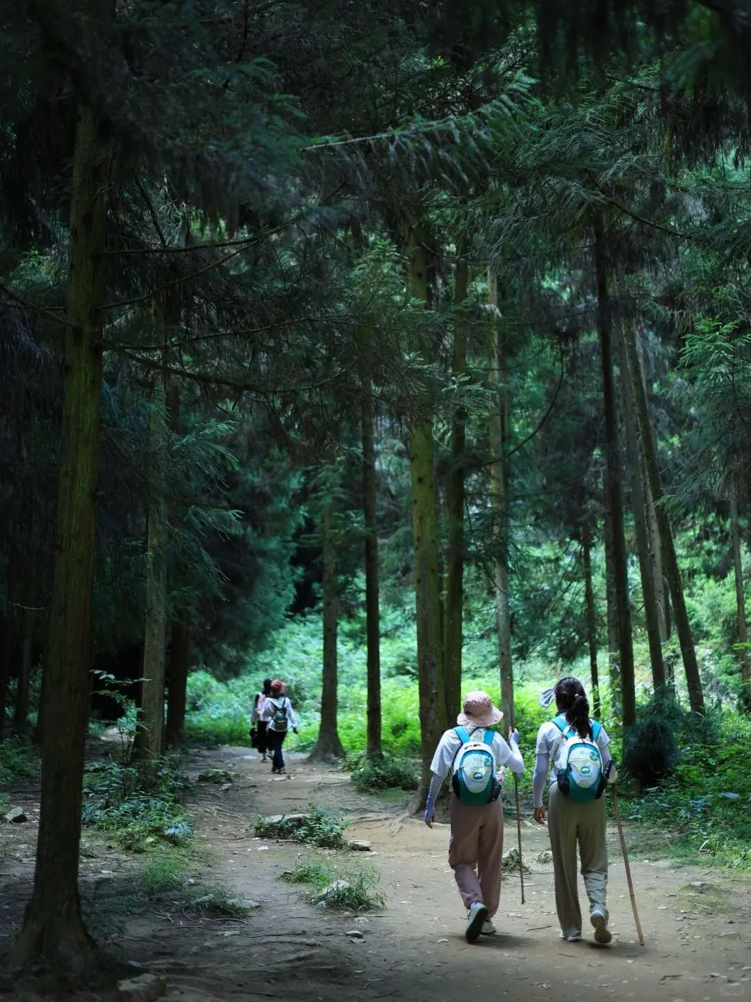 人生建议：7月一定要来20℃的恩施避暑！