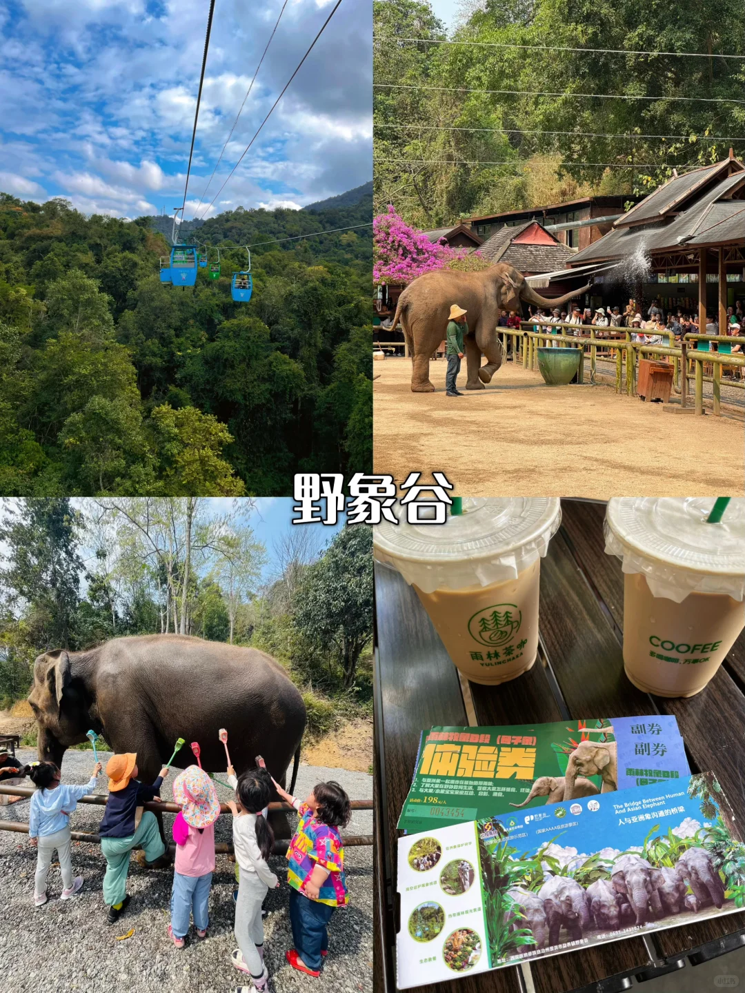 🌞暑假打卡云南，大理丽江西双版纳攻略来啦