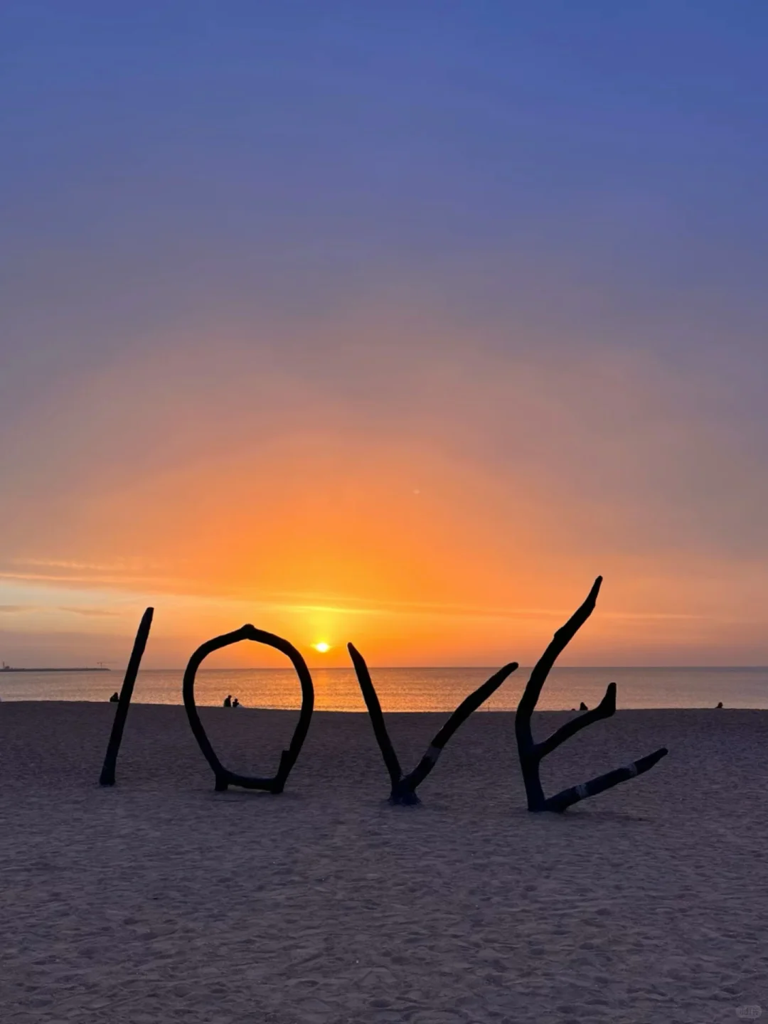 山东F4：青岛/威海/烟台/日照应该怎么选择🌊