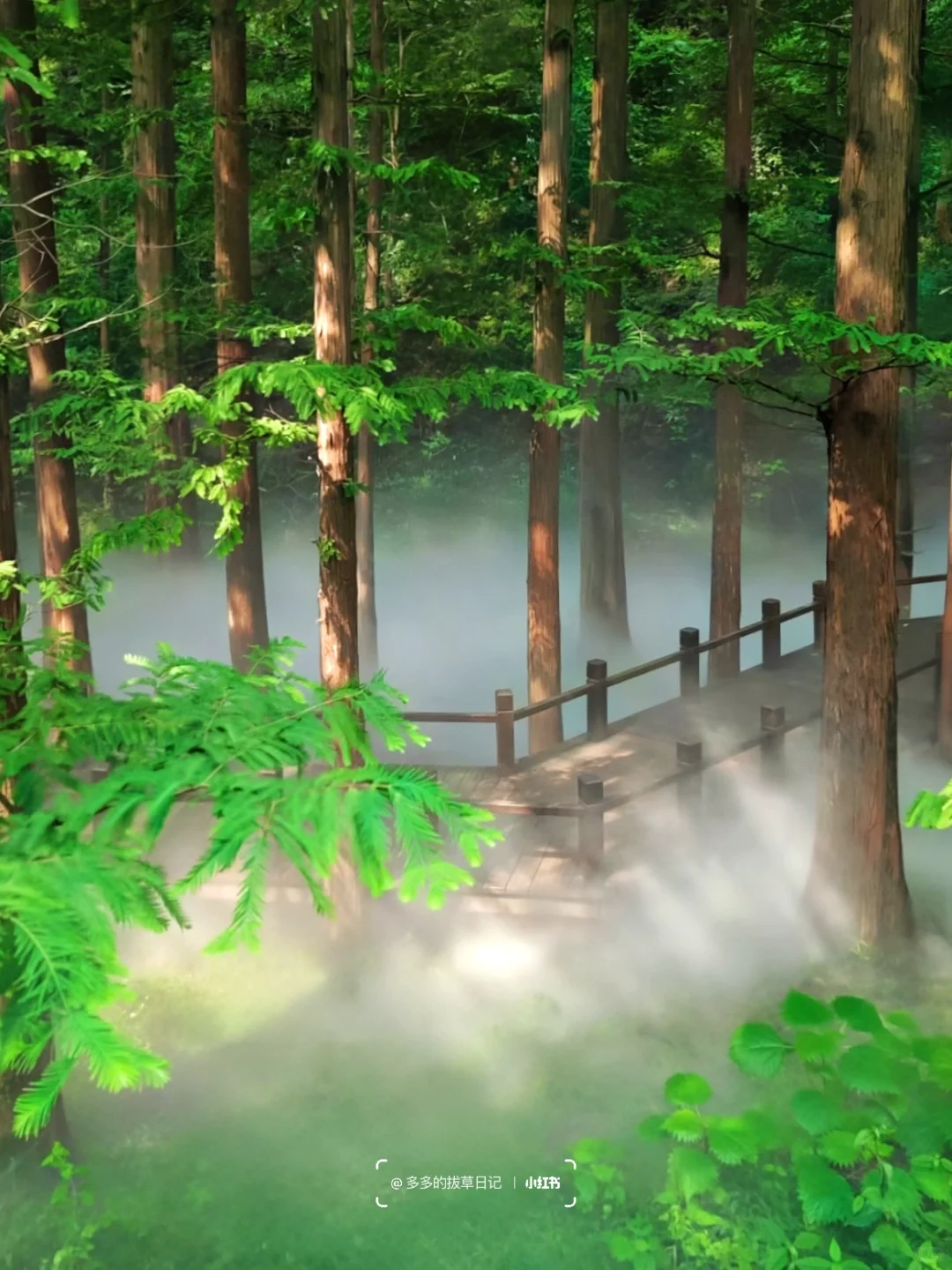 8.30北京初秋值得去的6️⃣个高颜值徒步地❗️