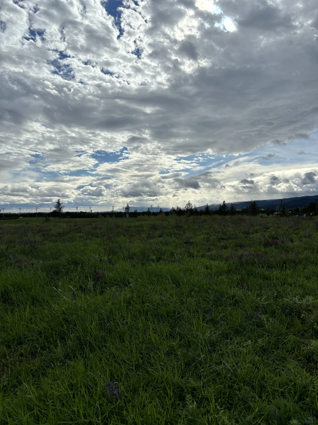 一路向北～山西大同➕内蒙呼和浩特攻略🤲🏻