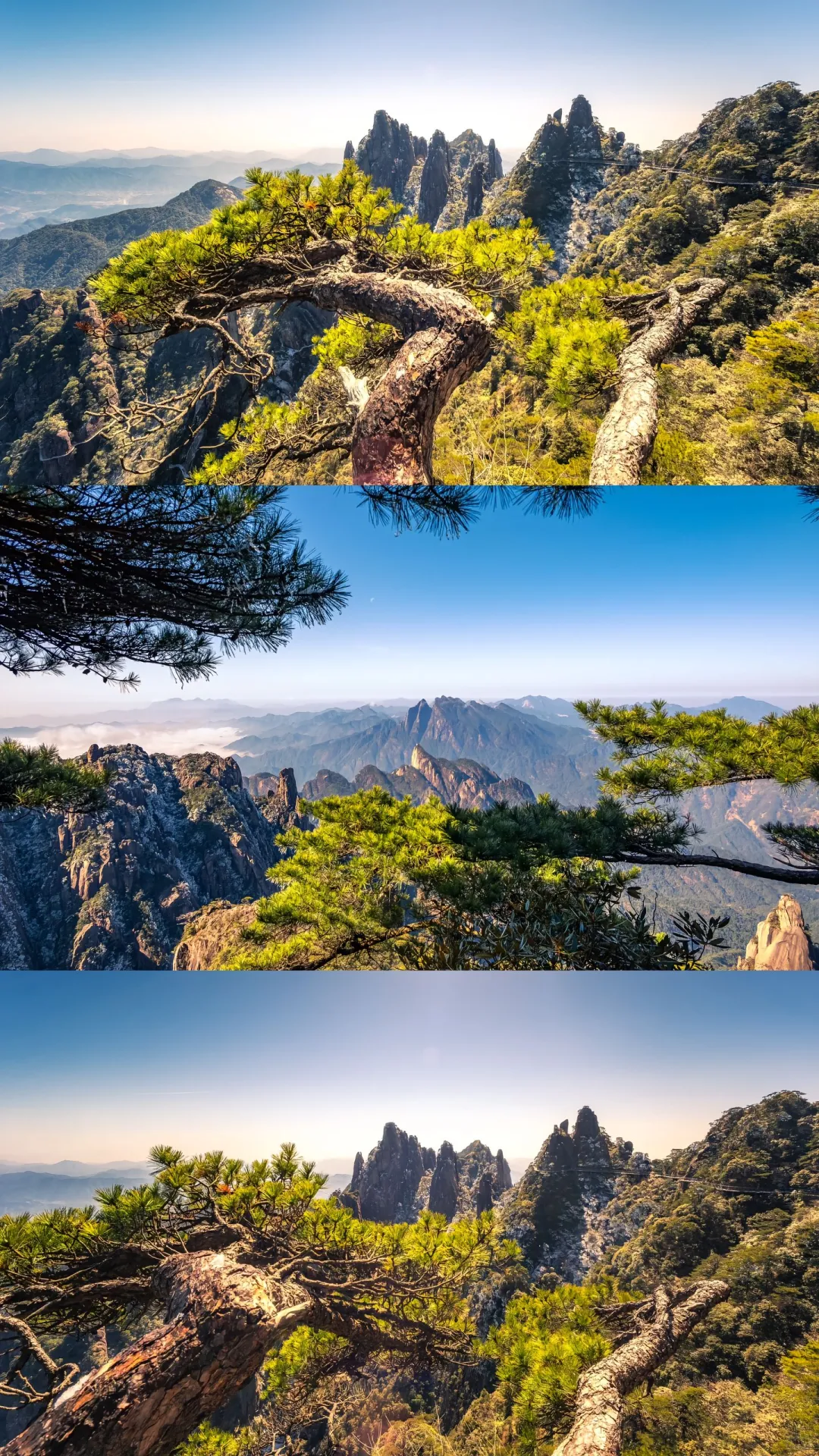 上饶已回，提醒5-8月准备去的（不删