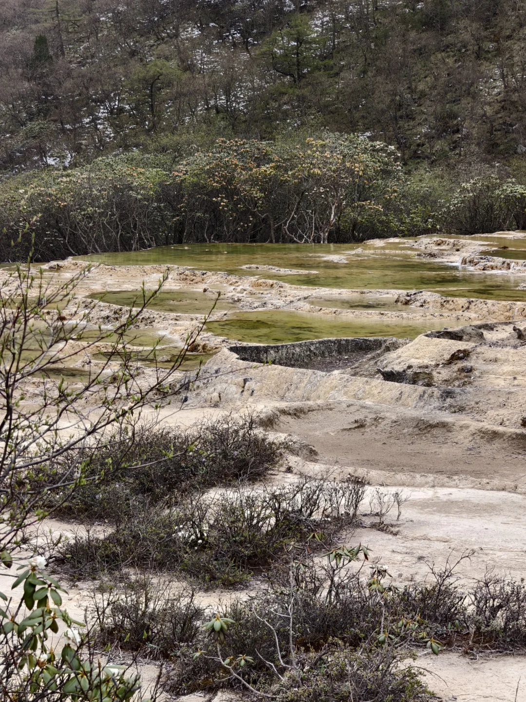你想找的四川黄龙景区保姆级全攻略在这
