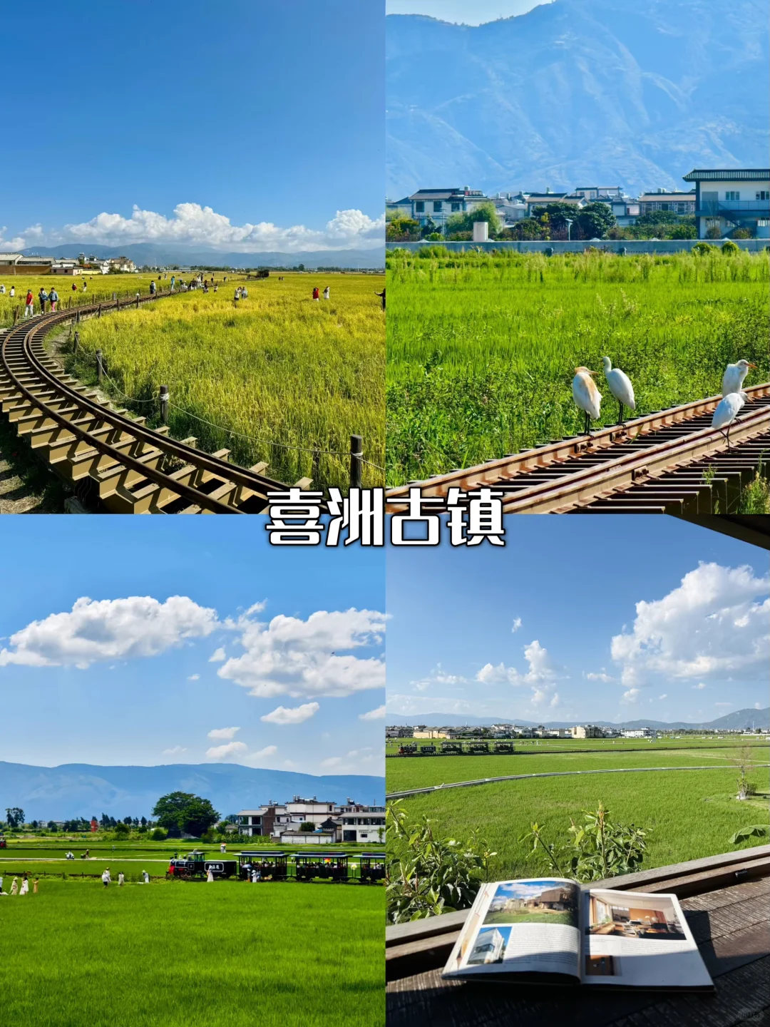 🌞暑假打卡云南，大理丽江西双版纳攻略来啦