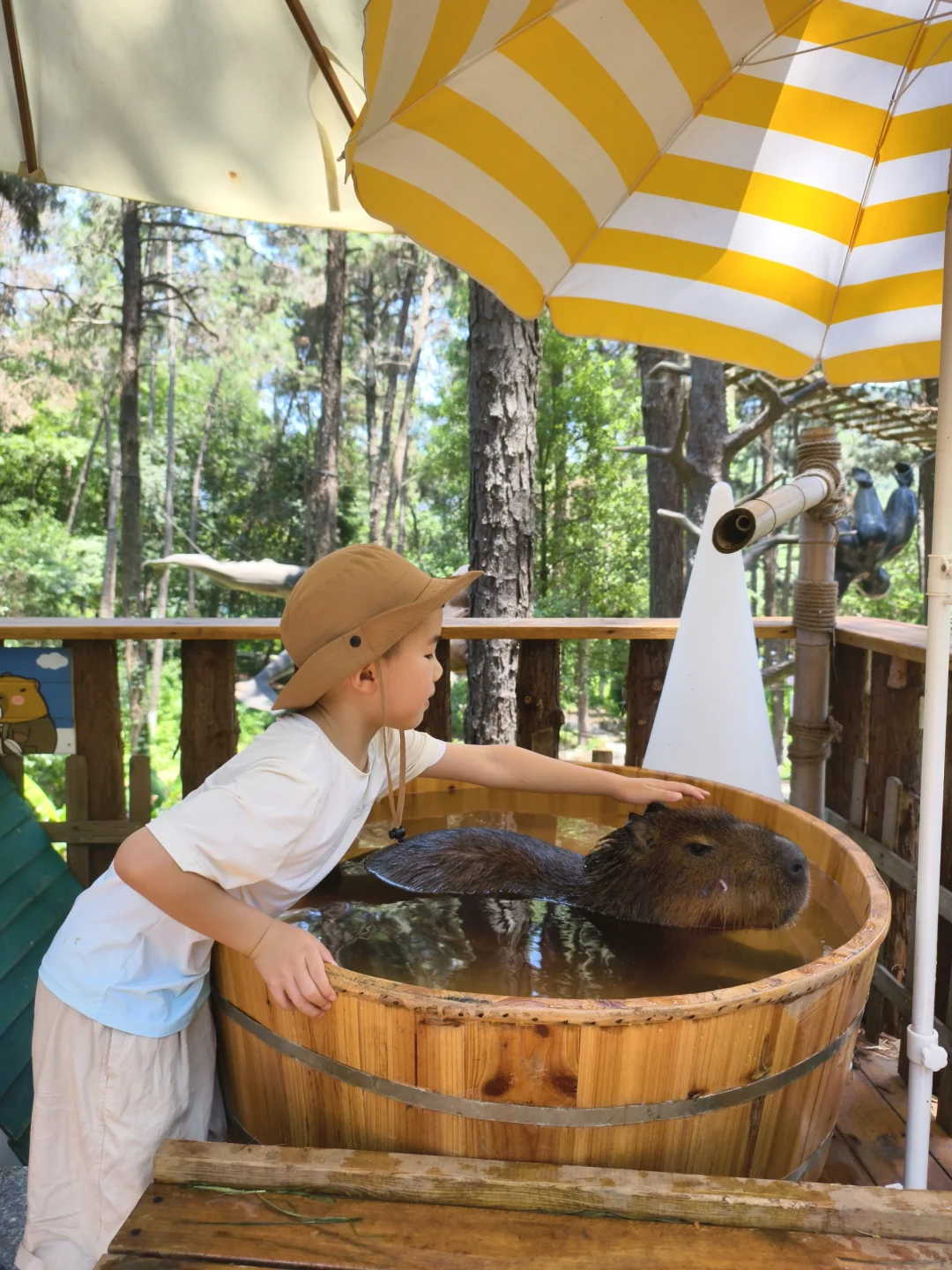 1米就能玩的竹林漂流，江浙沪亲子避暑天花