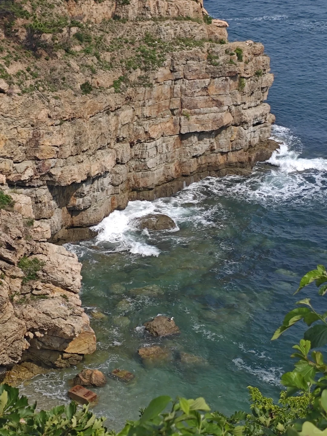 保姆级！大连&烟台&青岛 六日游攻略（1）