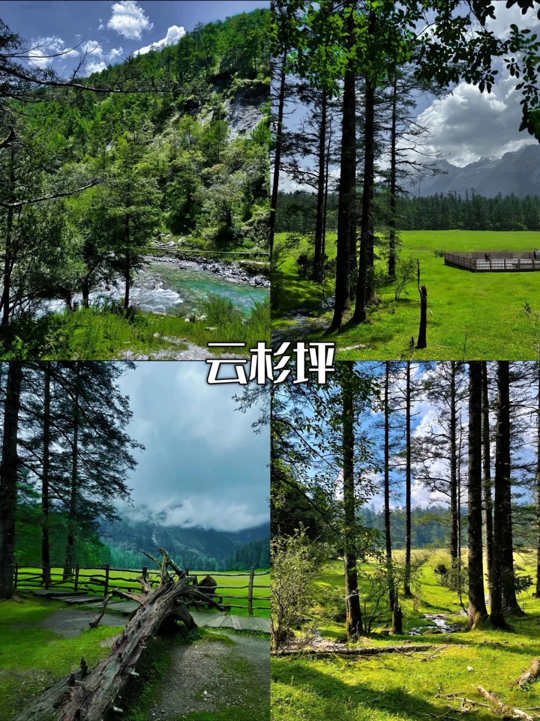 🌞暑假打卡云南，大理丽江西双版纳攻略来啦