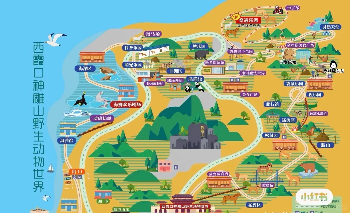 荣成刚回！神雕山野生动物园必看血泪攻略