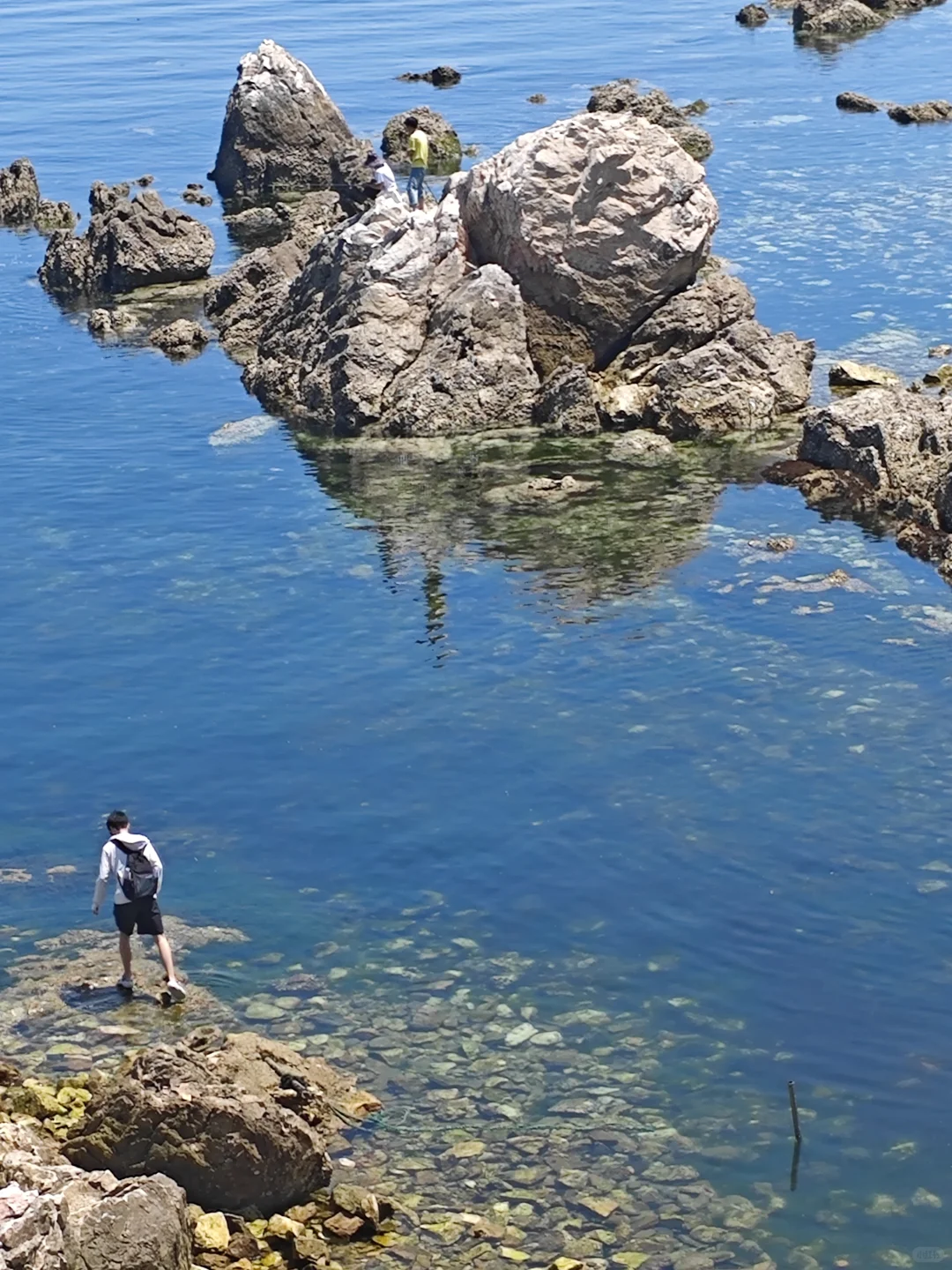 保姆级！大连&烟台&青岛 六日游攻略（1）