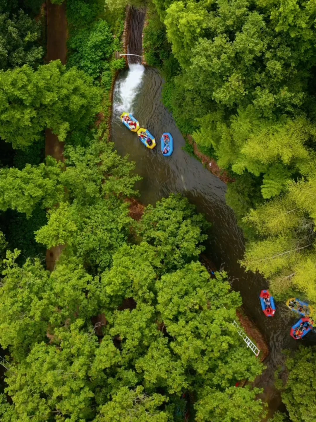 1米就能玩的竹林漂流，江浙沪亲子避暑天花
