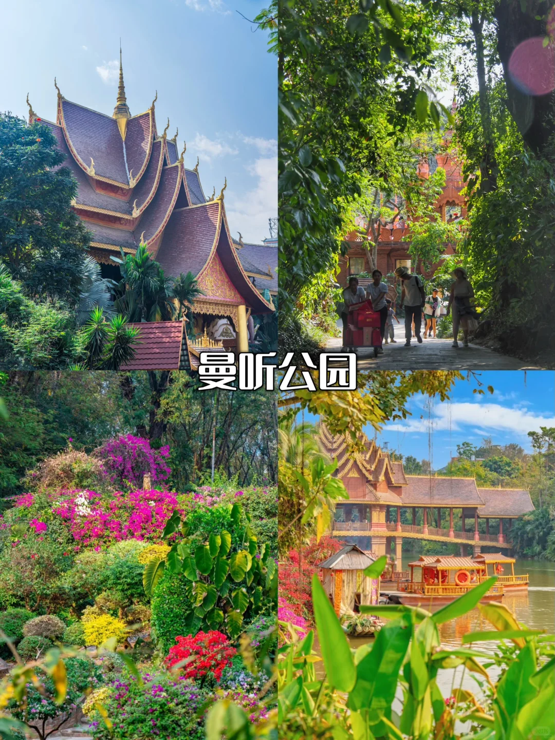 🌞暑假打卡云南，大理丽江西双版纳攻略来啦