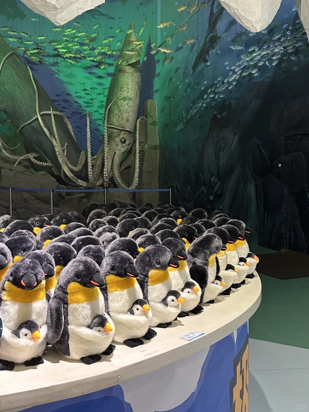 避暑大连！暑假必玩老虎滩攻略！