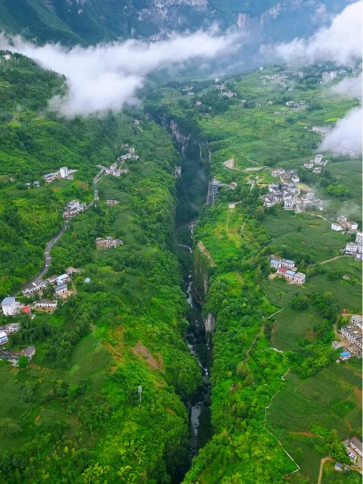 人生建议：7月一定要来20℃的恩施避暑！
