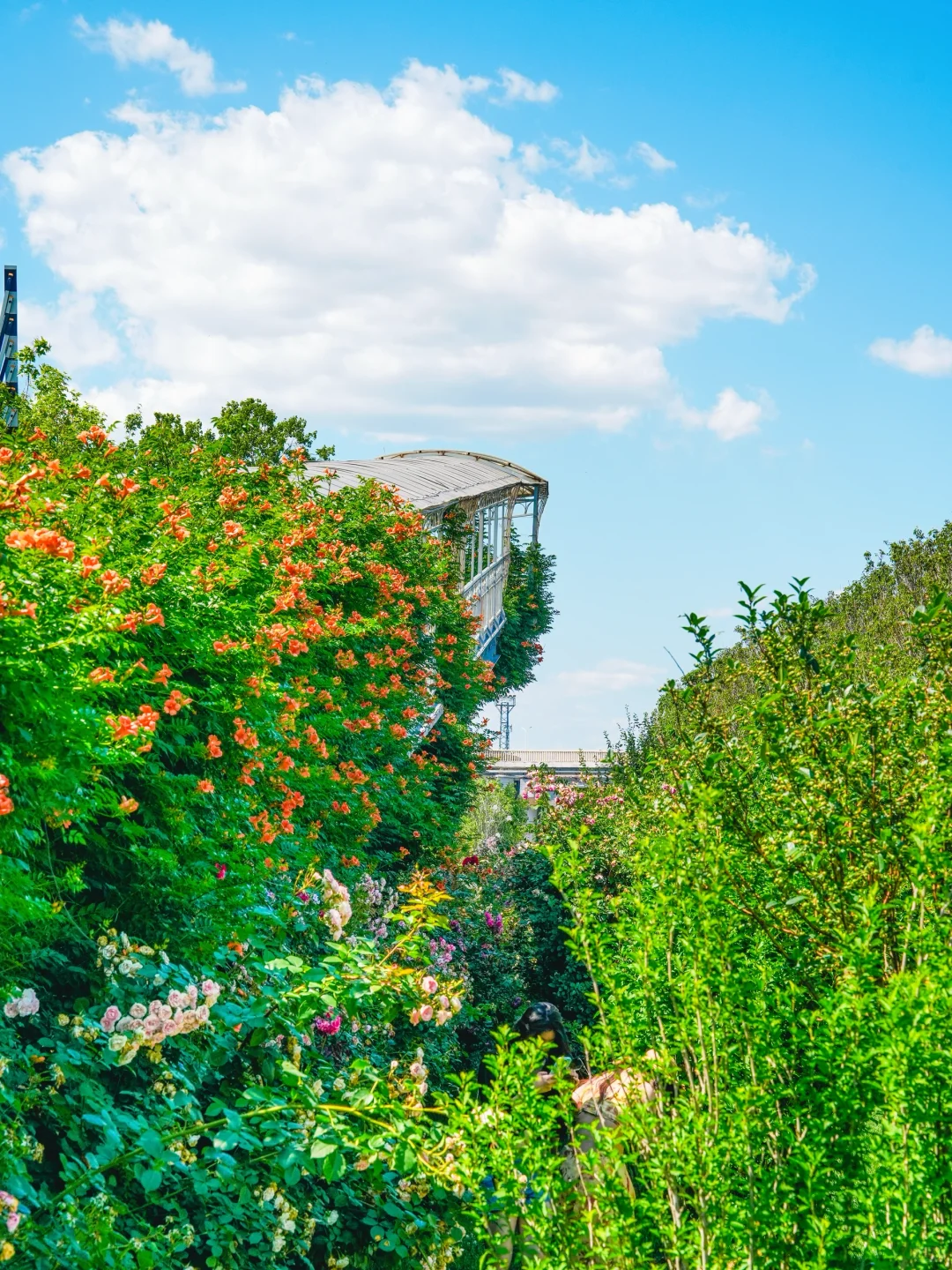 暑假🚄秦皇岛3天2晚看这篇❗️直接copy路线