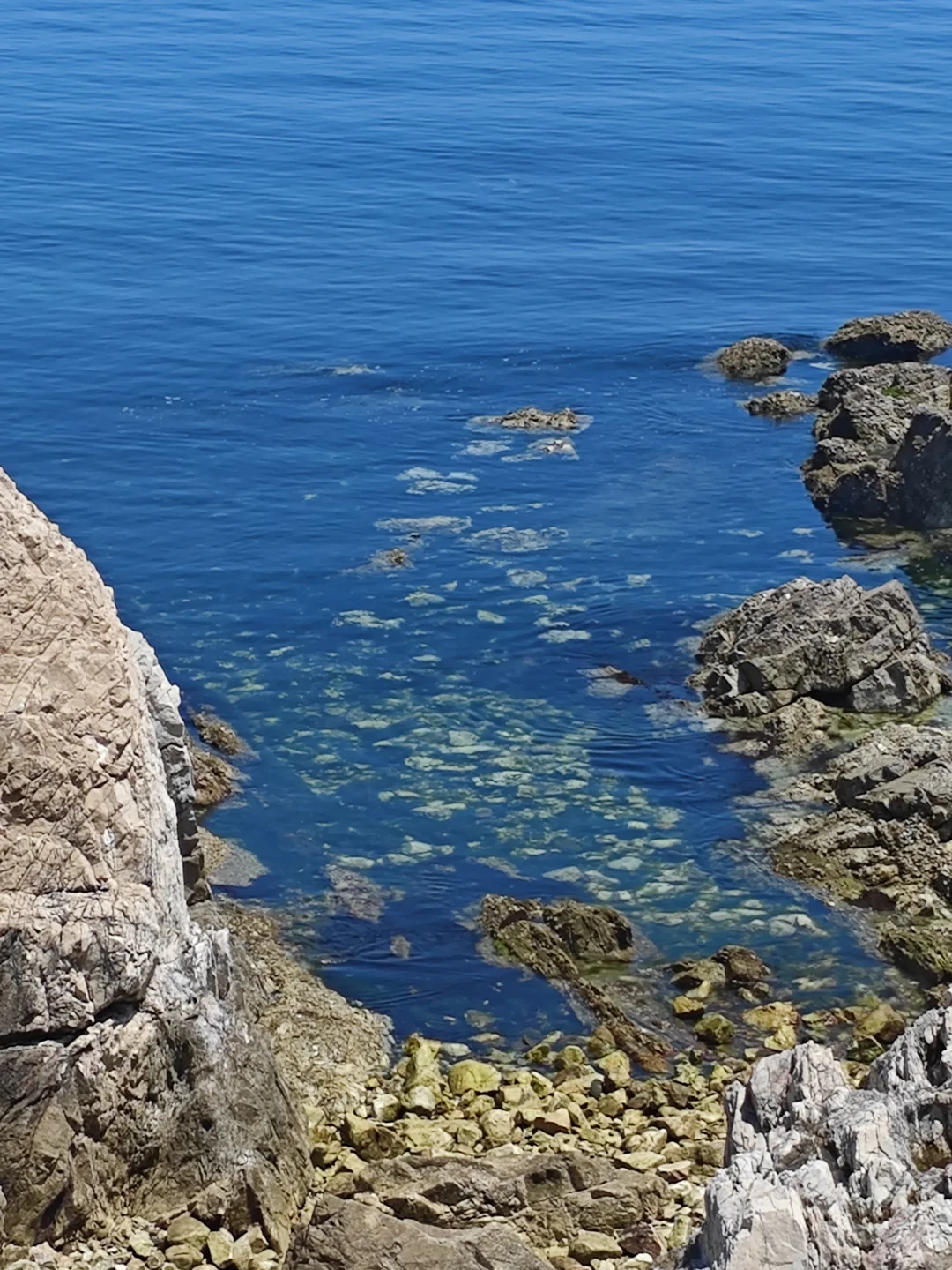 保姆级！大连&烟台&青岛 六日游攻略（1）