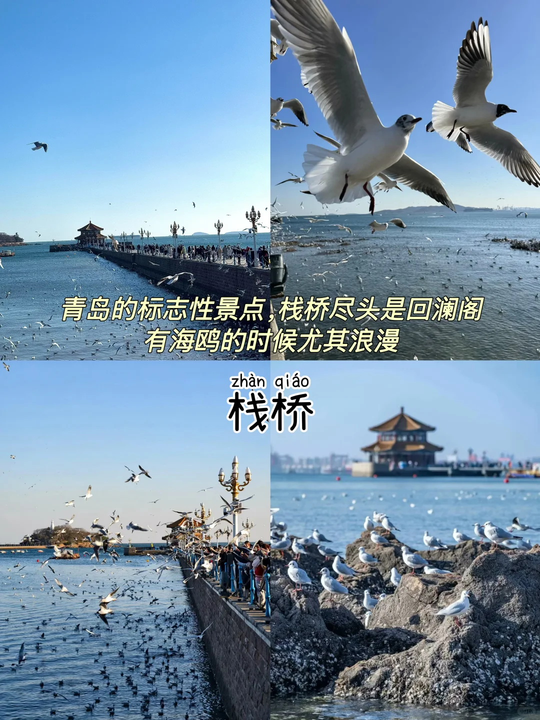 青岛📍三天两晚，不费腿版保姆级逛吃攻略‼️