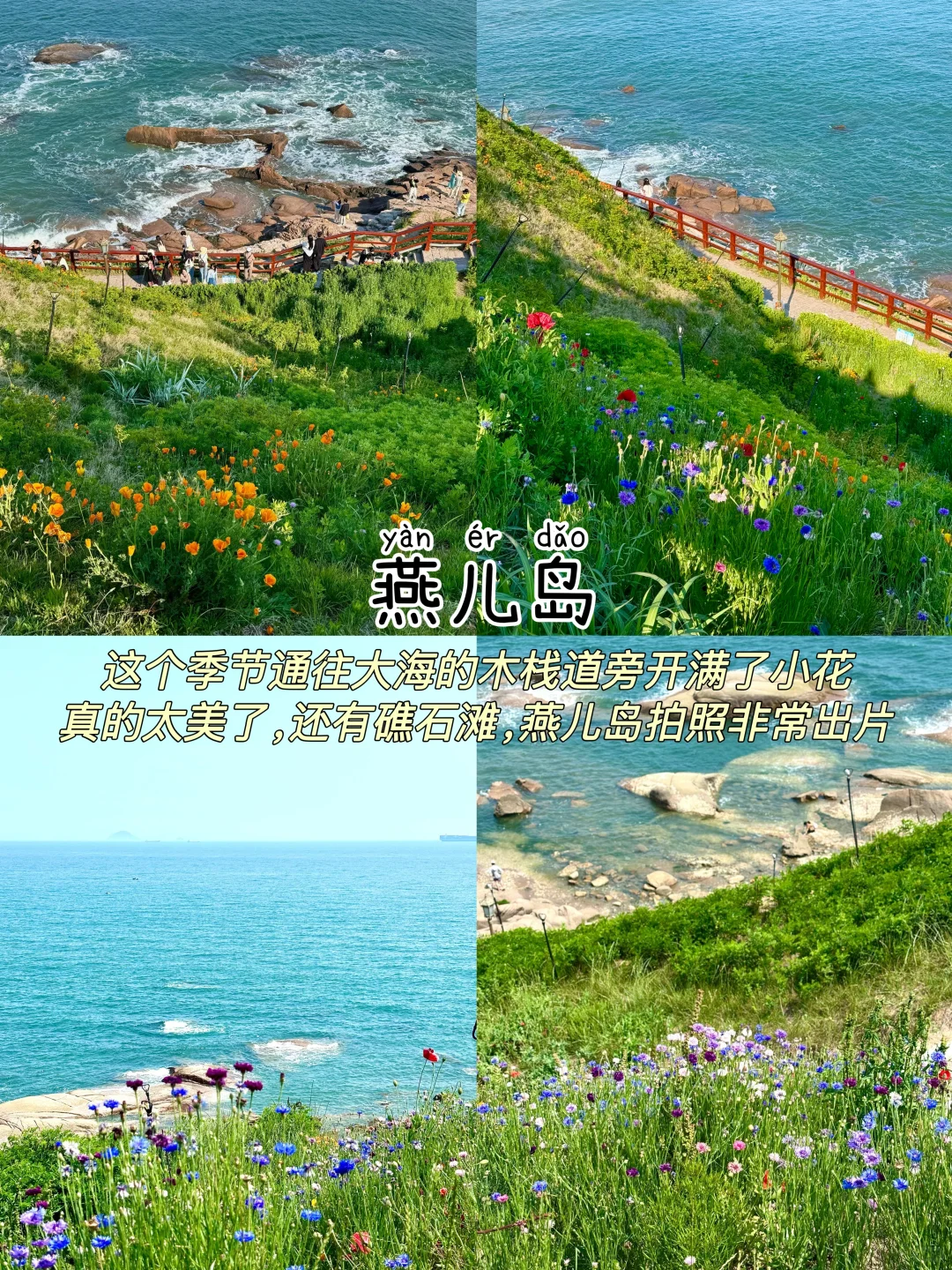 青岛📍三天两晚，不费腿版保姆级逛吃攻略‼️