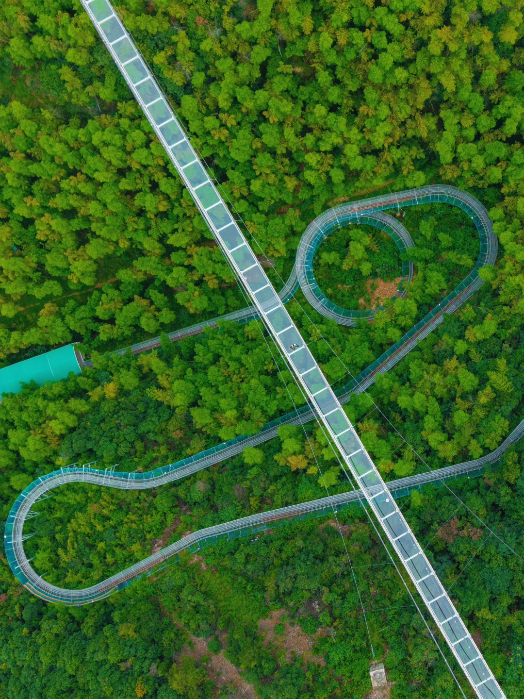 美哭了😭去了一趟莫干山，发朋友圈被问疯了