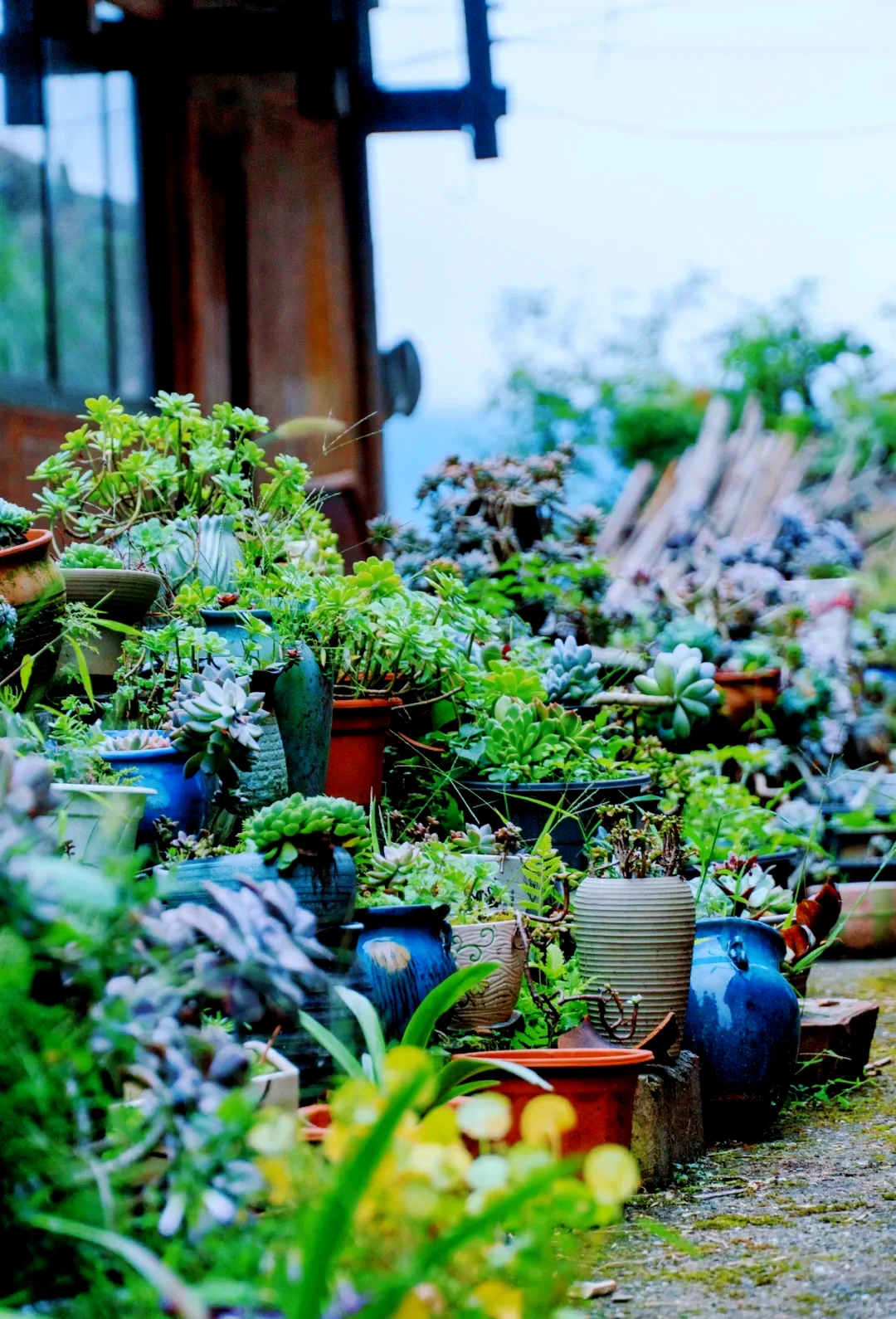 马海村｜保姆级旅游路线攻略