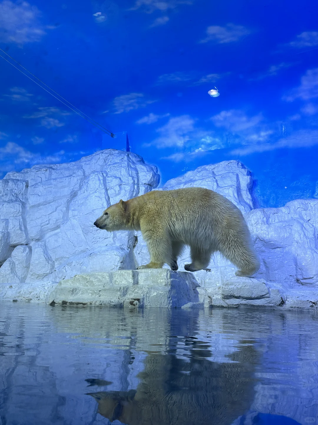 避暑大连！暑假必玩老虎滩攻略！