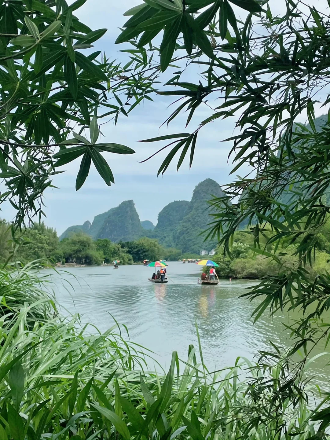 已排雷！带妈妈去桂林报当地团的真实感受😢